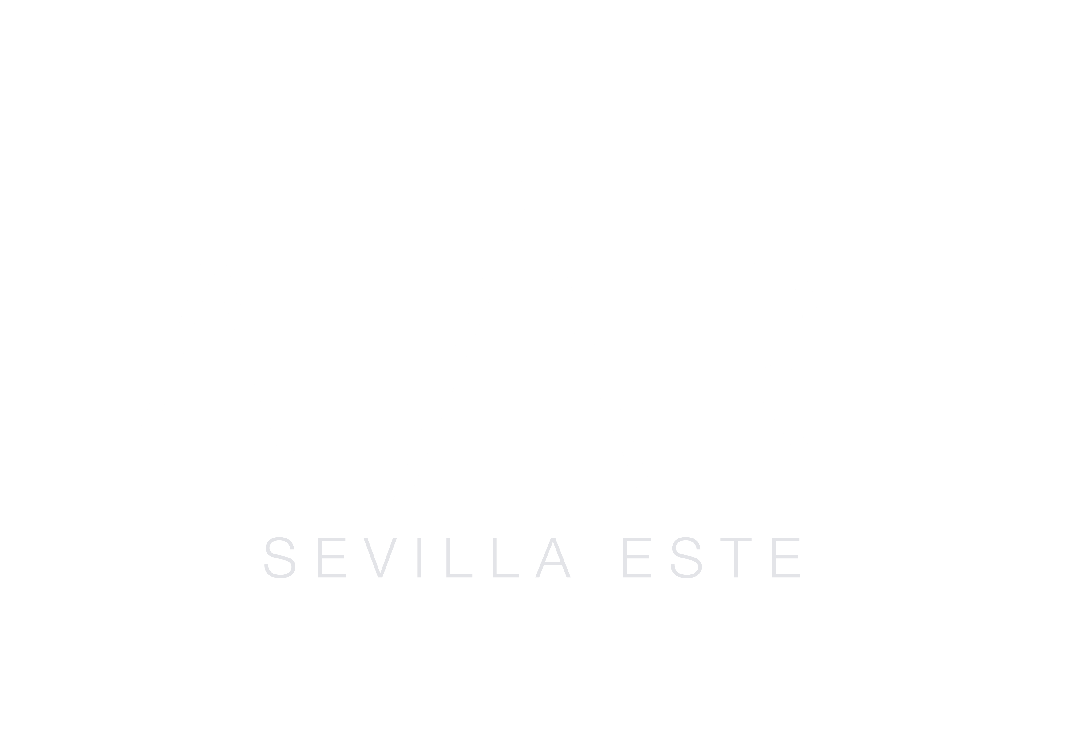logo light